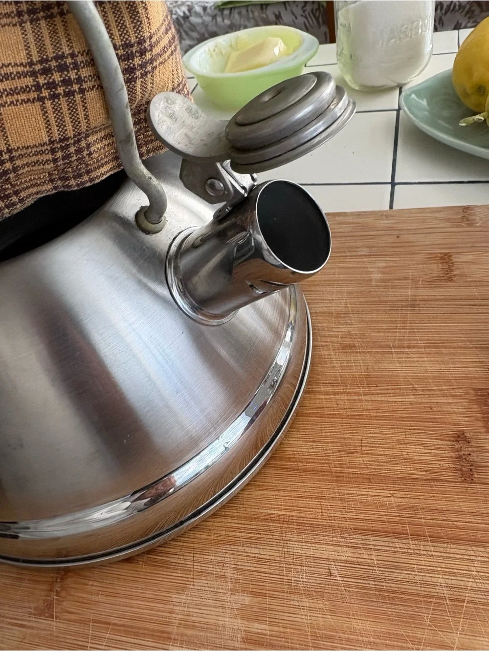 Stainless Steel Whistling Tea Kettle - Brushed Silver